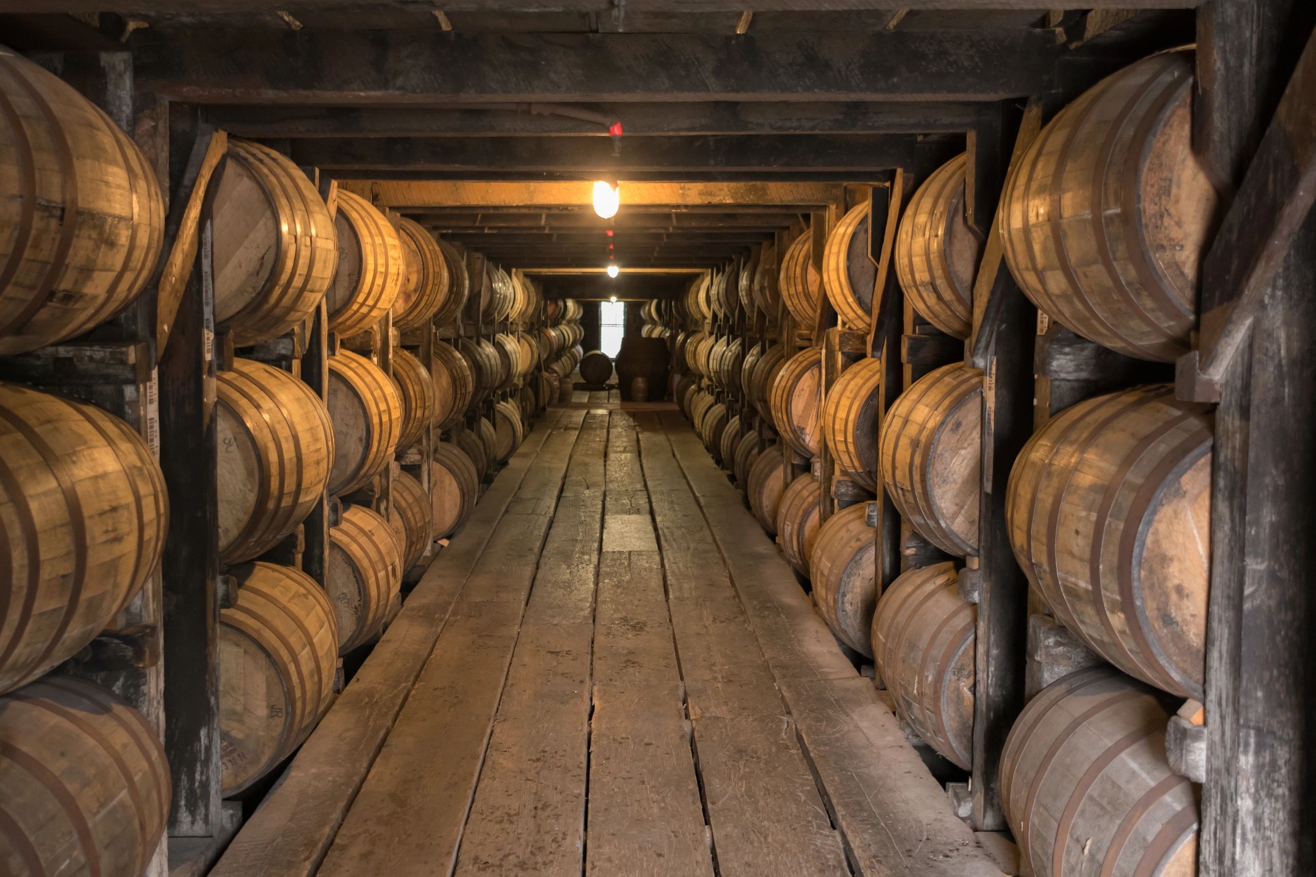 Bourbon Barrels in the Cellar